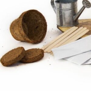 Grow Your Own Coffee Plant Kit - Thumbnail 4