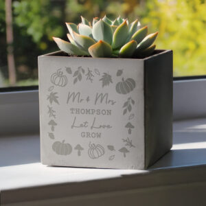 Personalised Pumpkin Concrete Plant Pot - Abode Home & Gifts