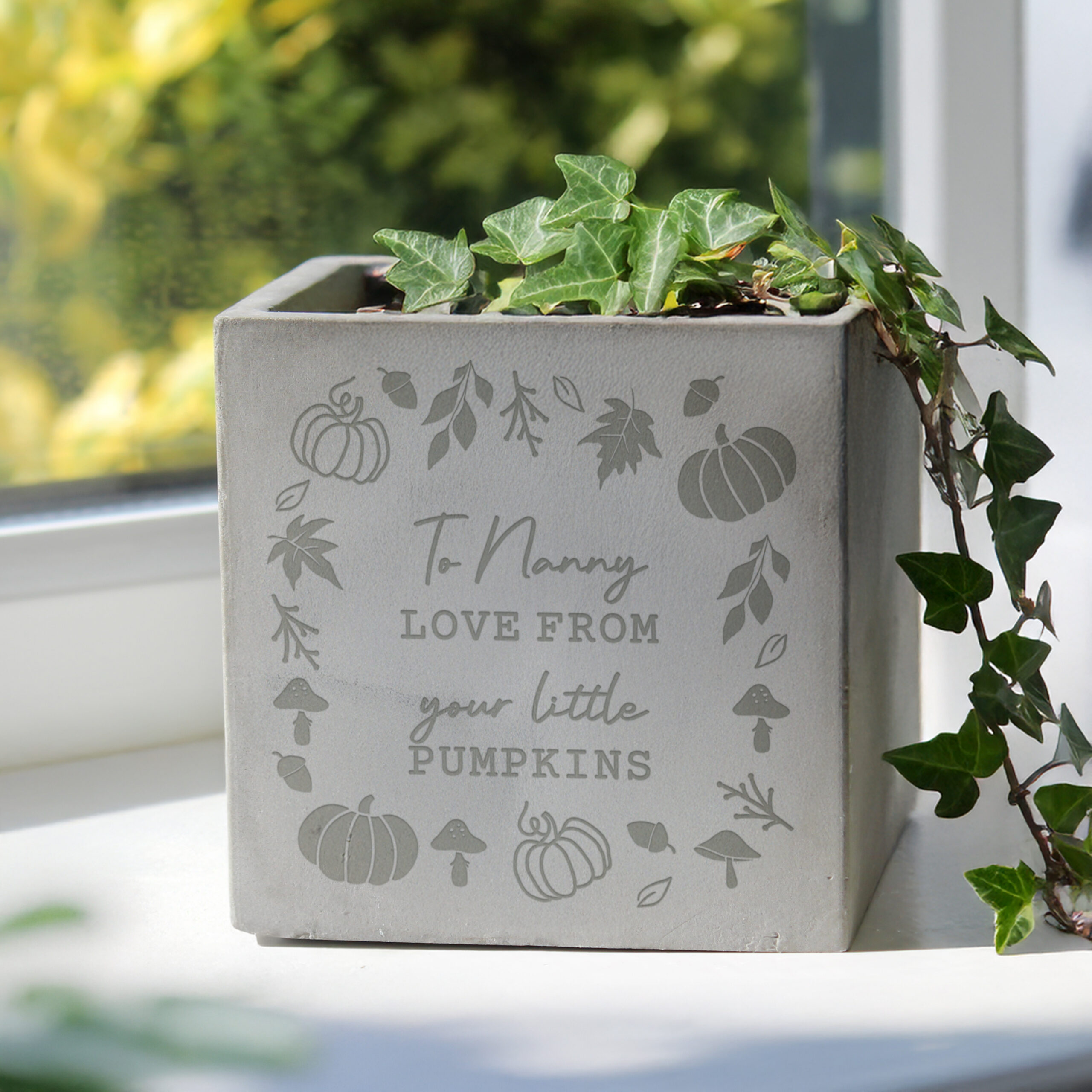 Personalised Pumpkin Concrete Plant Pot - Thumbnail 3