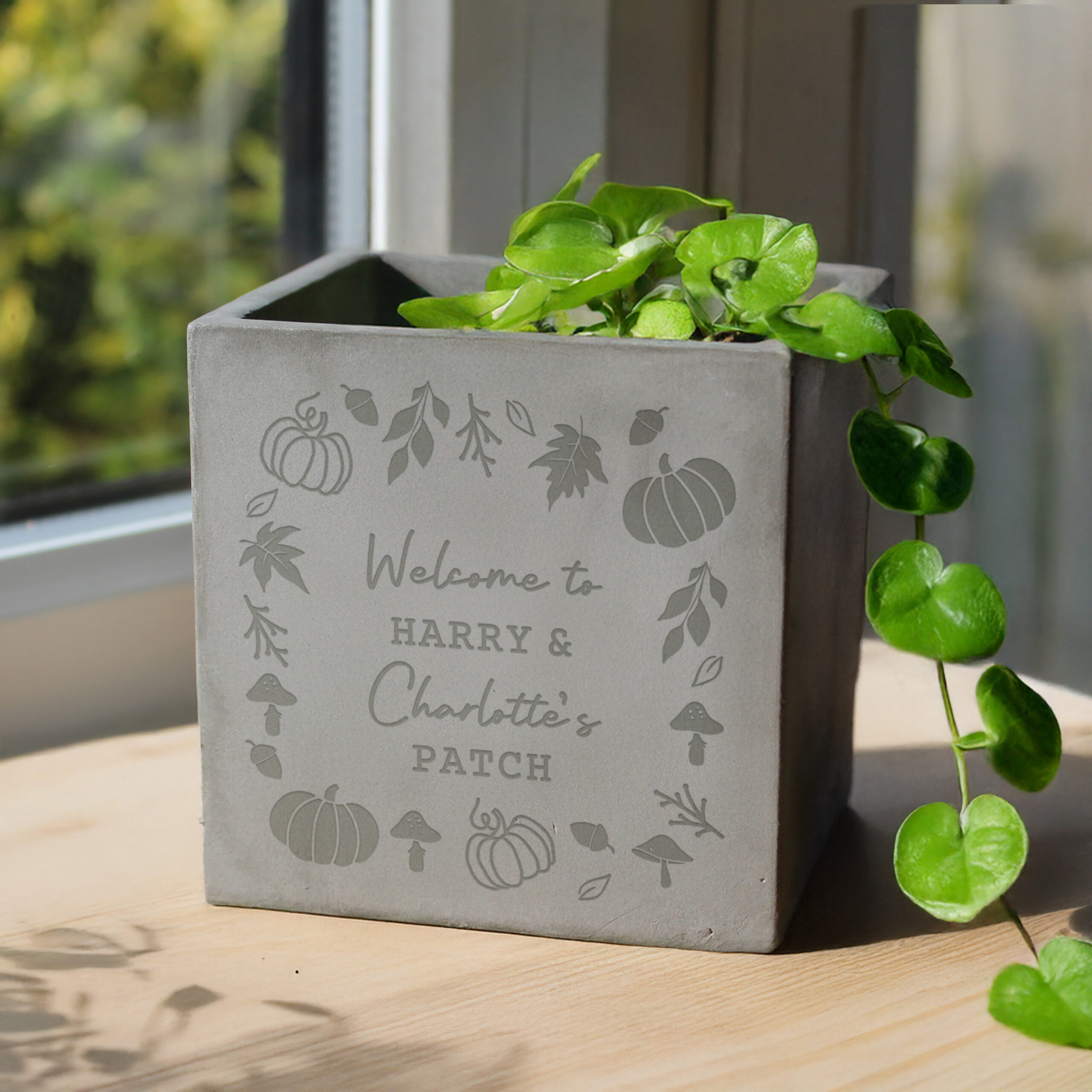 Personalised Pumpkin Concrete Plant Pot - Thumbnail 2