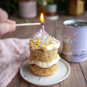 Mini Celebration Cake Kit - Abode Home & Gifts
