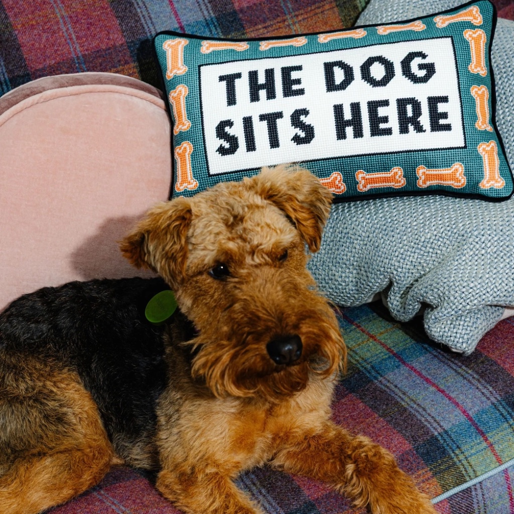 'The Dog Sits Here' Needlepoint Pillow - Thumbnail 1