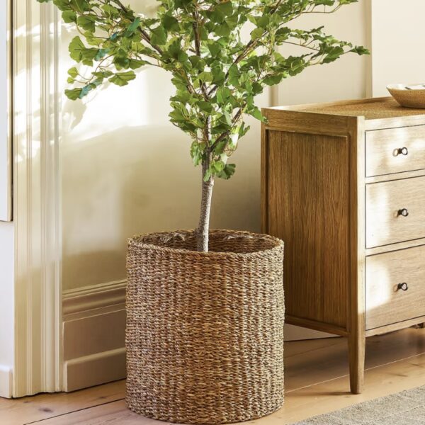 Large 48cm handwoven seagrass planter holding a leafy green indoor tree next to a wooden chest of drawers.
