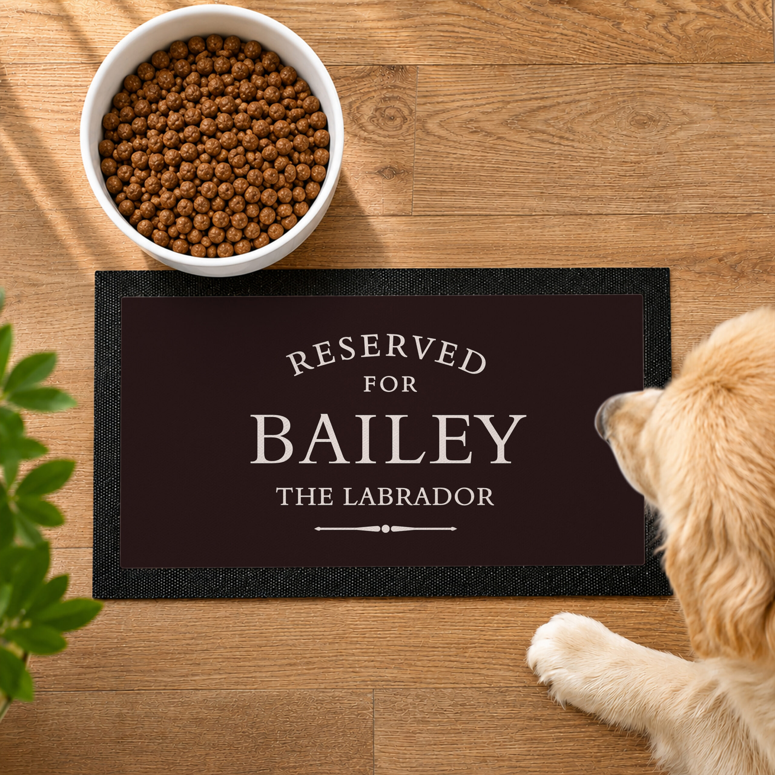 Personalised 'Reserved For' Pet Bowl Mat - Thumbnail 1